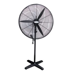 CROWN Standing Fan